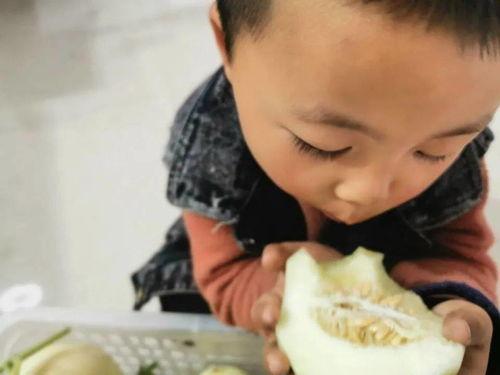 爱你不如吃瓜视频全集,揭秘视频全集背后的精彩故事