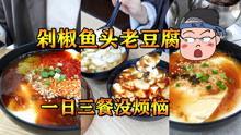 吃凉瓜饭的小视频大全集,夏日清凉美食之旅
