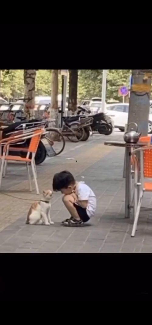 马哥吃瓜现场视频大全最新,揭秘娱乐圈幕后真相