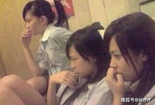 吃瓜群众小猪的视频大全,趣味横生的欢乐时光