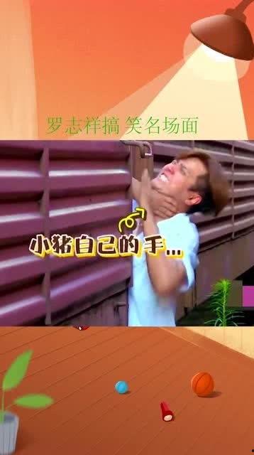 吃瓜群众小猪的视频大全,趣味横生的欢乐时光
