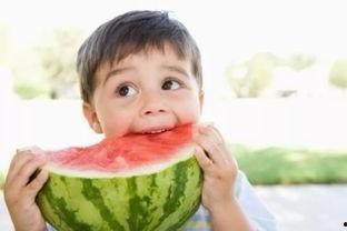 小孩吃二月瓜好吗视频,儿童食用二月瓜的益与趣