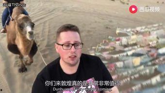 正经的江叔吃瓜视频,揭秘娱乐圈那些不为人知的幕后故事