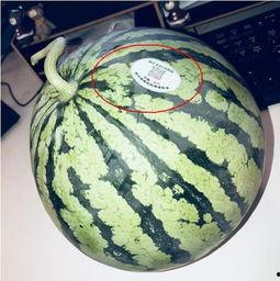 高清网红吃瓜视频,高清视频揭秘娱乐圈幕后真相