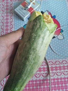 小浪哥吃佛手瓜视频,美味与挑战并存！