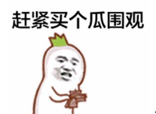 吃瓜群众的新玩法视频,视频狂欢背后的趣味解析