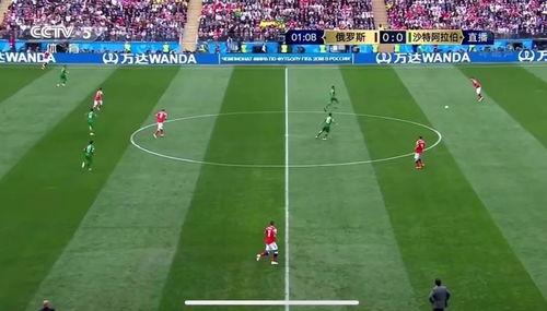 俄罗斯世界杯吃瓜视频,吃瓜群众的热闹瞬间