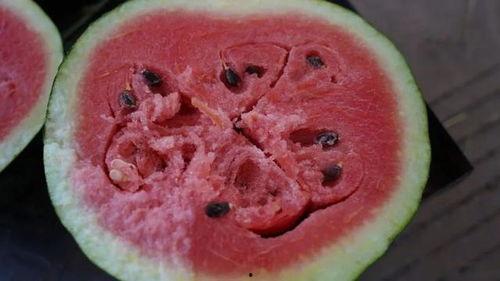 红河吃瓜视频,揭秘当地特色美食与风土人情