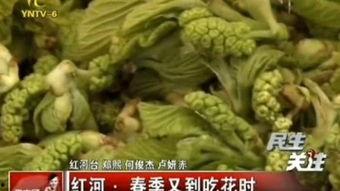 红河吃瓜视频,揭秘当地特色美食与风土人情