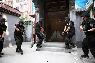 特警抓捕吃瓜女孩的视频,吃瓜女孩事件全程回顾