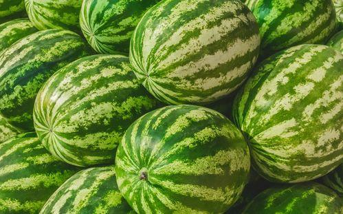 吃瓜视频素材库在哪,海量素材，轻松打造热门短视频