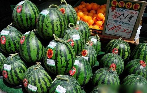 卖瓜吃瓜现场视频素材大全,卖瓜吃瓜现场视频素材大盘点