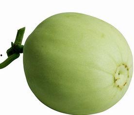 韩小浪吃梨瓜视频大全,趣味横生的美食探险之旅