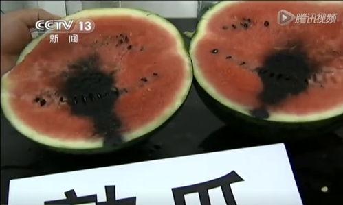 吃瓜群在线吃瓜视频,跟随吃瓜群，揭秘热门视频背后的故事