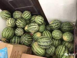 吃瓜群在线吃瓜视频,跟随吃瓜群，揭秘热门视频背后的故事