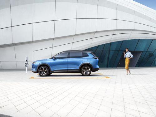 新平湖吃瓜群众事件视频,一场网络舆论的风暴与反思