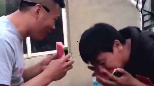 吃瓜小哥的视频,一场视觉盛宴的幕后故事