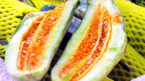 山东旅游吃瓜视频大全,吃瓜视频大全精选集