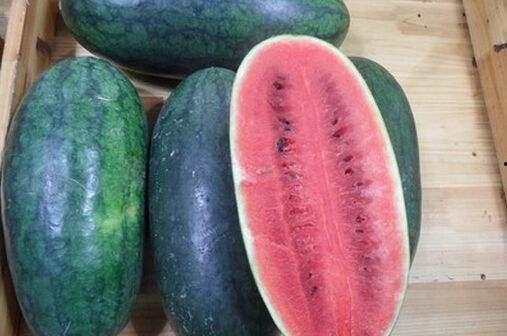 山东旅游吃瓜视频大全,吃瓜视频大全精选集