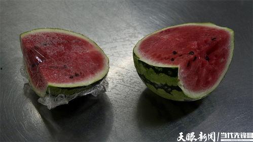 吃瓜吃出细菌视频大全,细菌滋生视频大盘点