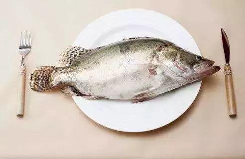 瓜叶鱼会吃吗有毒吗视频,揭秘其是否有毒