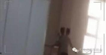 走廊打架吃瓜视频,一场“吃瓜”视频引发的校园热议