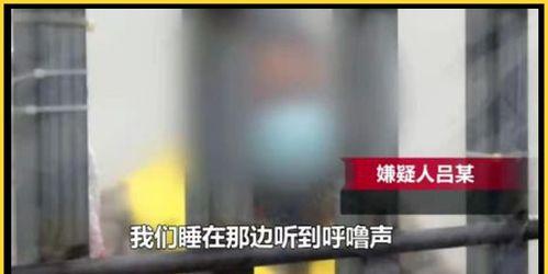 走廊打架吃瓜视频,一场“吃瓜”视频引发的校园热议