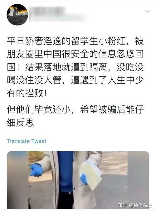 广东吃瓜事件始末视频播放,一场网络热议的始末揭秘