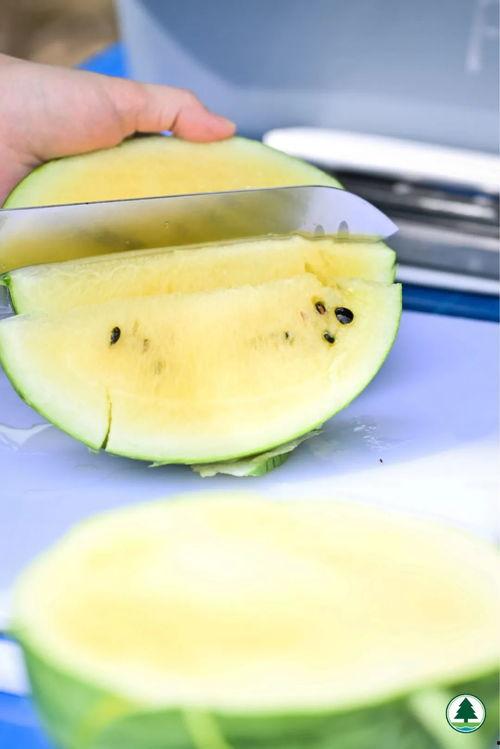 香港吃瓜视频大全,揭秘港式生活趣味瞬间