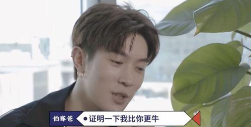 吃瓜视频博主是谁呀,揭秘网络红人的幕后故事