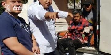 马戏团老虎吃瓜视频,惊险瞬间！马戏团老虎吃瓜视频引网友热议