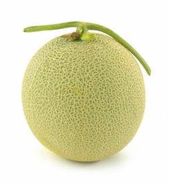 美食视频第一次吃哈密瓜,甜蜜之旅，开启味蕾新体验