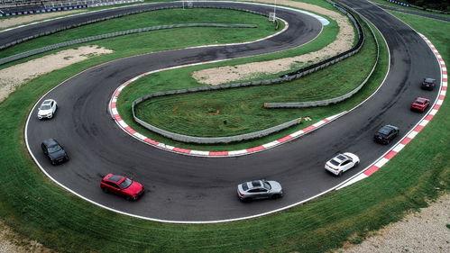 吃瓜视频属于什么赛道,社交娱乐赛道的新宠儿