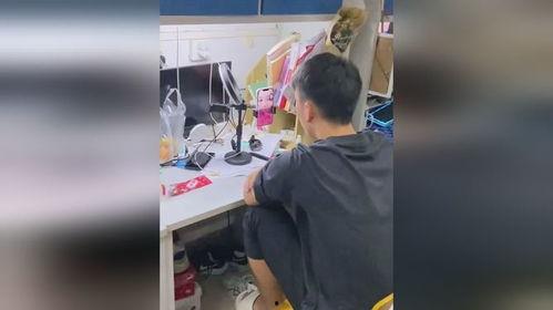 表哥吃瓜扫楼视频下载