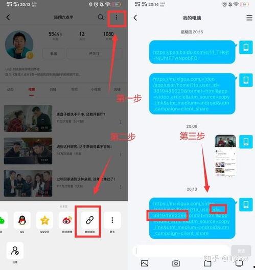 吃瓜视频脚本下载安装免费,免费安装与内容概述
