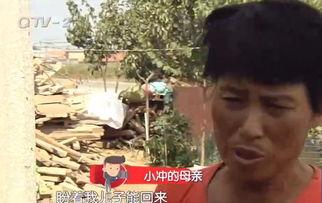 胶州老赖吃瓜事件真相视频,真相揭露背后的惊人内幕