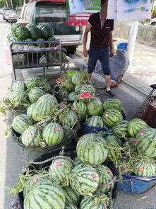 黟县吃瓜事件真相视频,揭秘真相背后的惊人内幕