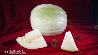 白瓜怎么样吃才好吃视频,视频教你如何吃出最佳口感