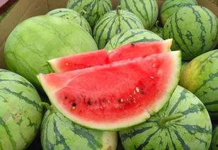 69吃瓜导航视频,揭秘热门视频背后的精彩故事