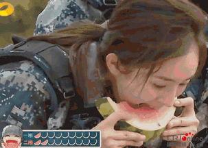 秒变吃瓜现场视频在线观看,热门视频在线观看，一窥网络热点瞬间