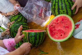 吃瓜扬州视频,揭秘当地美食文化盛宴