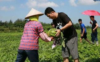 吃瓜节的群众视频,群众视频记录狂欢瞬间
