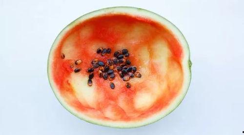 西安理性吃瓜事件真相视频,真相揭秘与网络舆论反思