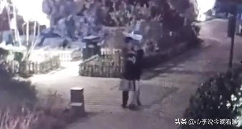 蒙城吃瓜事件视频曝光,视频曝光揭示惊人真相