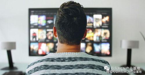 司仪吃瓜视频大全,揭秘幕后趣闻，笑料横生！