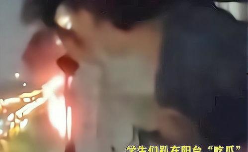 男神宿舍吃瓜视频,一场吃瓜视频引发的宿舍风云