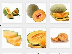 吃新疆哈密瓜素材视频下载,甜蜜滋味，尽在这一口