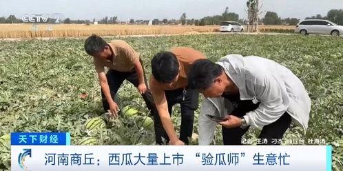 绍兴教师吃瓜事件视频,网络热议背后的真相与反思