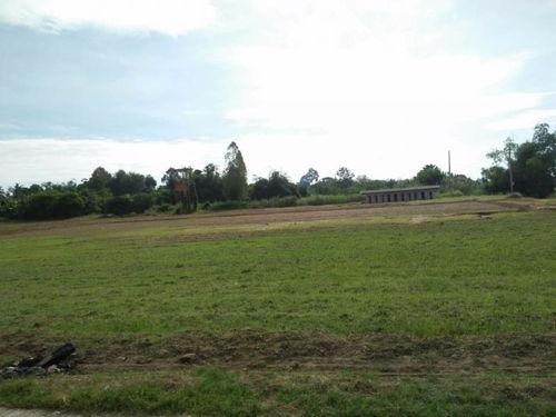 农民伯伯的吃瓜视频,瓜香四溢的乡村生活