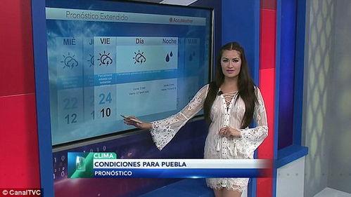 连麦吃瓜情感主播视频大全,情感主播视频大全精彩瞬间回顾